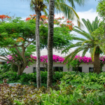 ocean-club-west-grace-bay- penthouse-suite-condo-for-sale-7