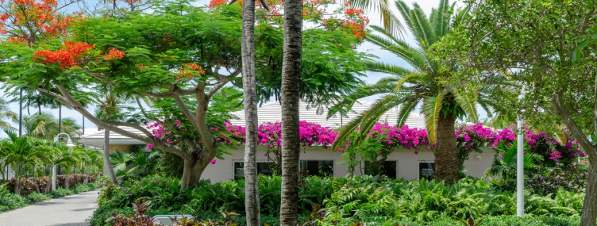 ocean-club-west-grace-bay- penthouse-suite-condo-for-sale-7