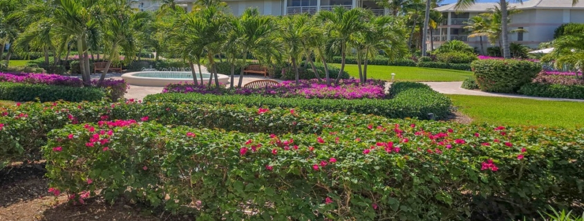 ocean-club-west-suite-511-one-bedroom-view of resort landscaping fountain
