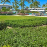 ocean-club-west-suite-511-one-bedroom-view of private path to pool and beach