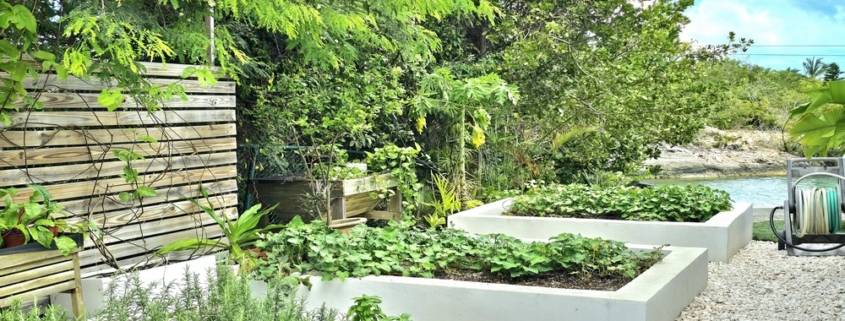 waterfront-turks-caicos-homes-for-sale-palm-point herb garden