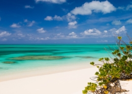 west-caicos-beachfront-land view from beach to ocean