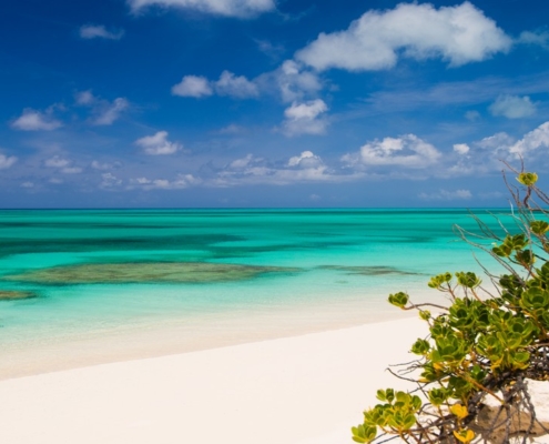 west-caicos-beachfront-land view from beach to ocean