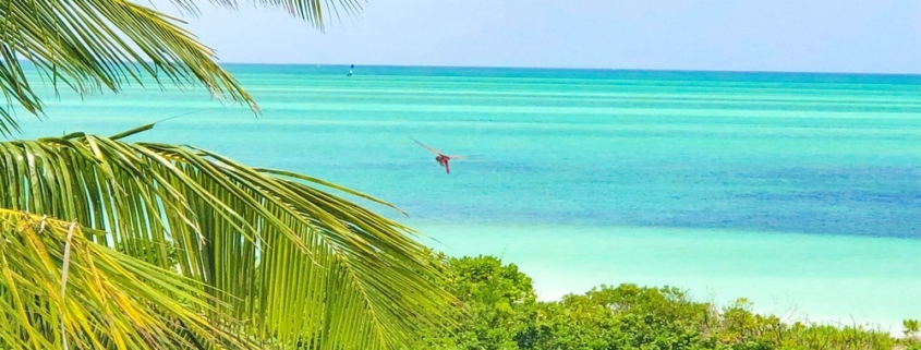 sandy-point-north-caicos-beachfront-view of area