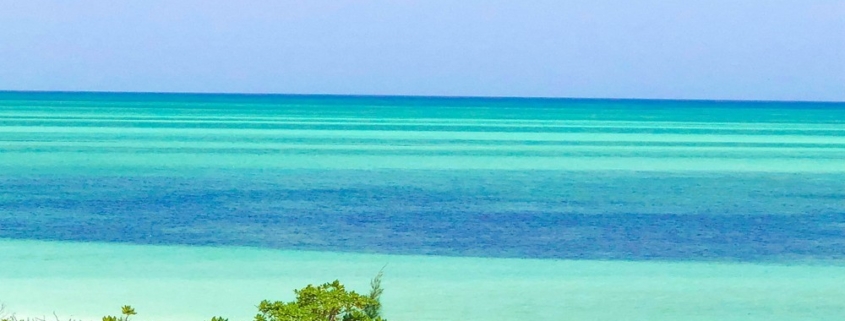 sandy-point-north-caicos-beachfront-land view of water