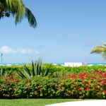 grace-bay-beachfront-west bay club landscaping with ocean view