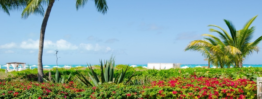 grace-bay-beachfront-west bay club landscaping with ocean view