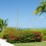 grace-bay-beachfront-west bay club landscaping with ocean view