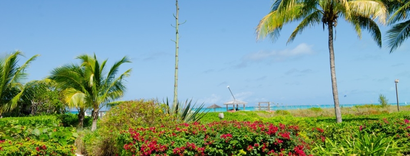 grace-bay-beachfront-west bay club landscaping with ocean view