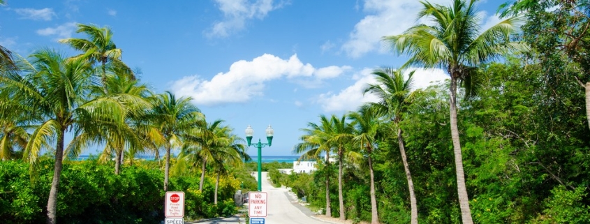 richmond-commons-providenciales-home-site view from street to ocean