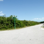 richmond-commons-providenciales-home-site view brush and trees on property