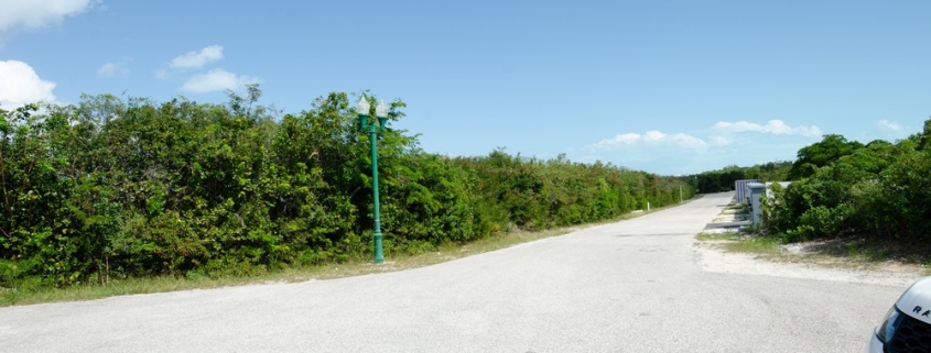 richmond-commons-providenciales-home-site view brush and trees on property