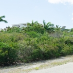 richmond-commons-providenciales-home-site view brush and trees on property