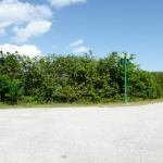 richmond-commons-providenciales-home-site view brush and trees on property