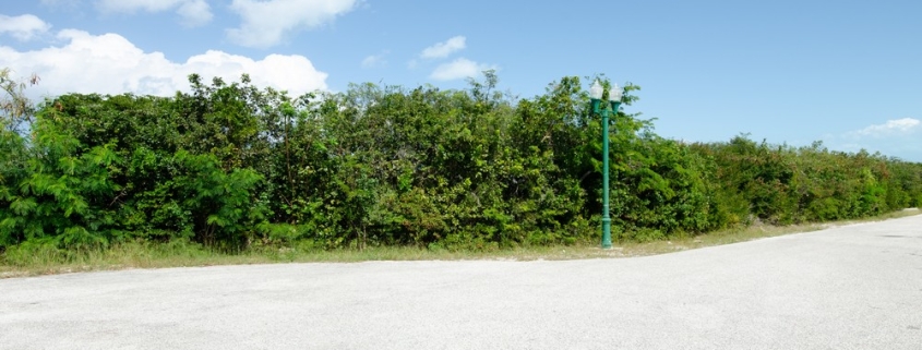 richmond-commons-providenciales-home-site view brush and trees on property