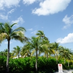 richmond-commons-providenciales-home-site view from corner