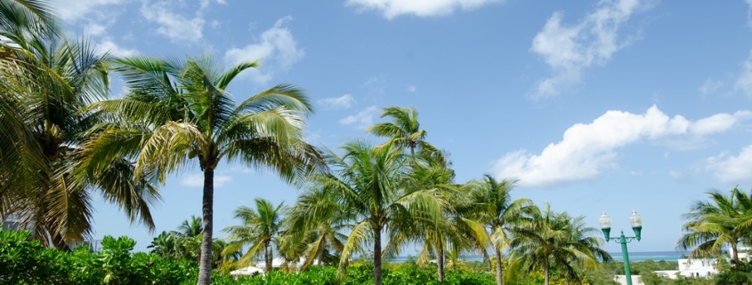 richmond-commons-providenciales-home-site view from corner
