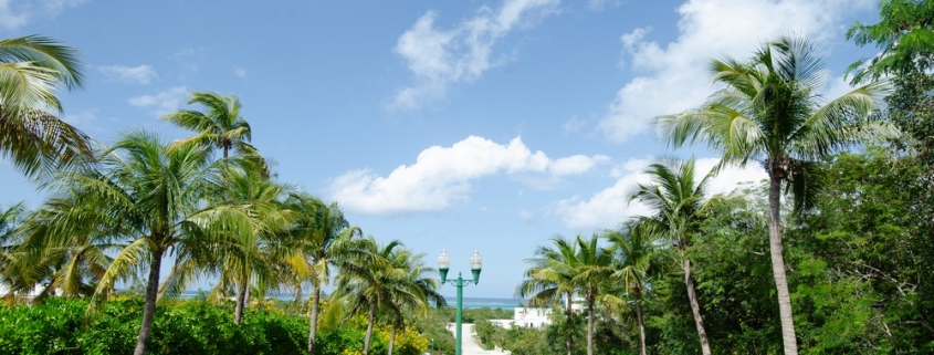 richmond-commons-providenciales-home-site view from street to ocean