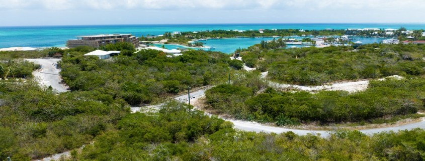 2-parcels-turtle-cove-land-for-sale-turks-caicos-real-estate 2-parcels-turtle-cove-land-for-sale-drone view